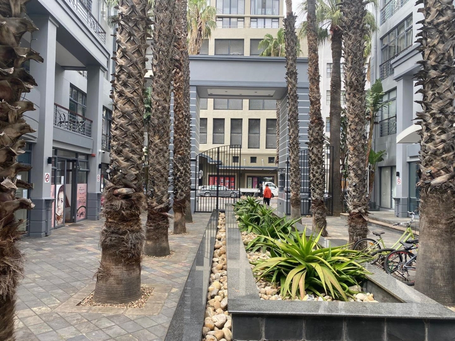 To Let 0 Bedroom Property for Rent in Cape Town City Centre Western Cape